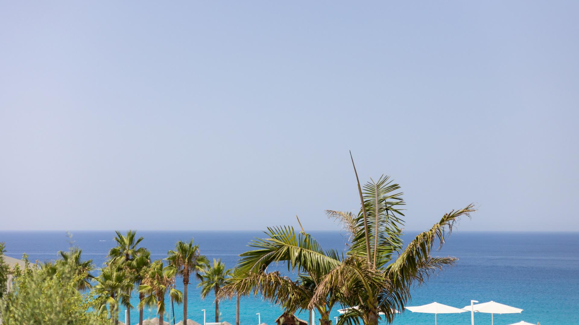 Palmen und weiße Sonnenschirme nahe dem blauen Meer unter klarem Himmel.