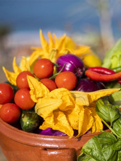 Colorful fresh vegetables in a terracotta pot.