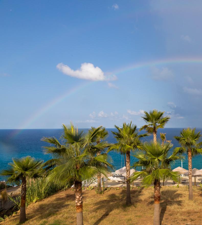 Palme, mare blu e arcobaleno sotto il cielo azzurro.