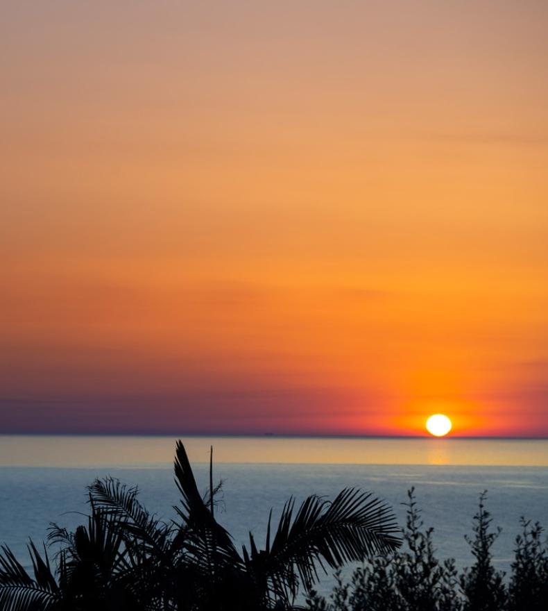 Sunset over the sea with distant volcano and palm trees in the foreground.